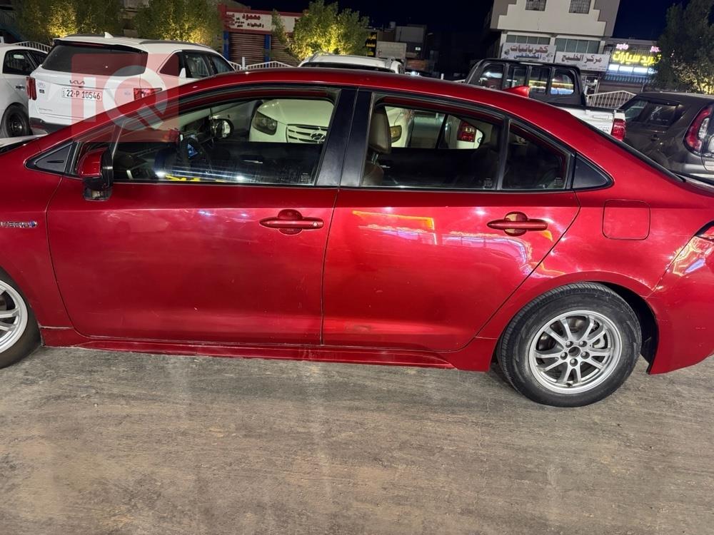 تويوتا كورولا